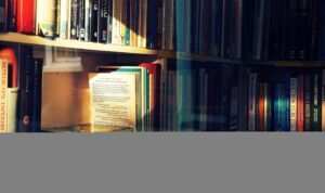 megan harpe biography and career